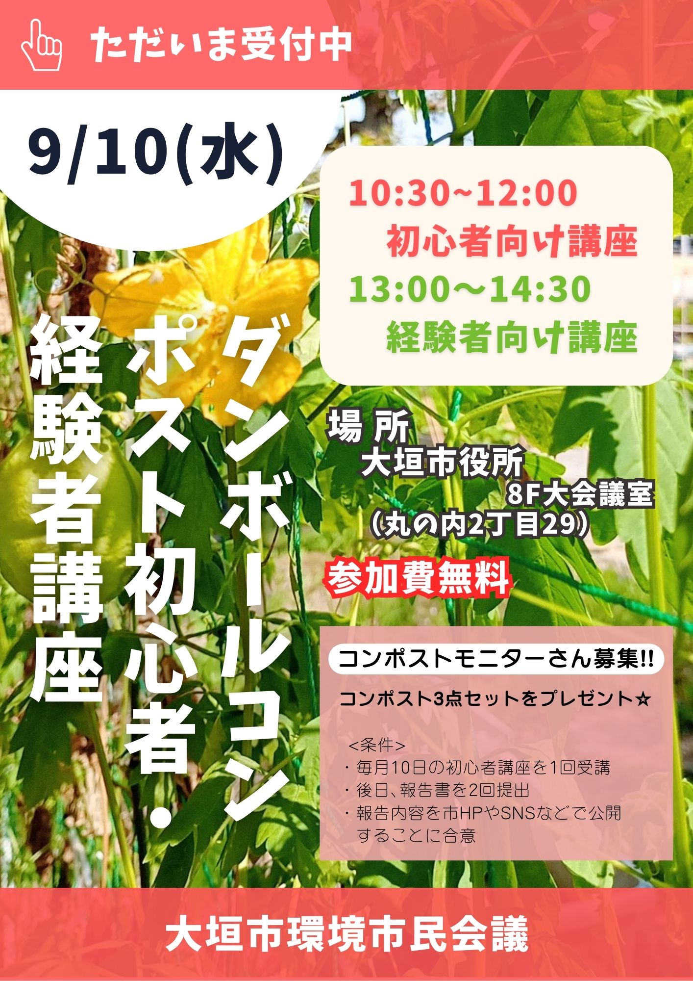 畑