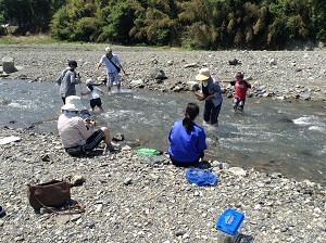 見たこともない生き物、川の中で見つけたよ!