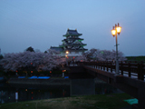 安八郡 桜写真004