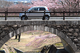 揖斐郡 桜写真007