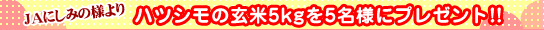 ハツシモ玄米5kgを5名様にプレゼント!!