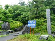 金生山化石館の写真1