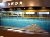 金生山化石館の館内風景写真2