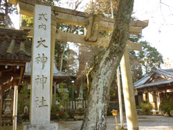 大神神社 写真