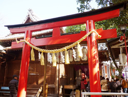 �������ݰ�� �̿�