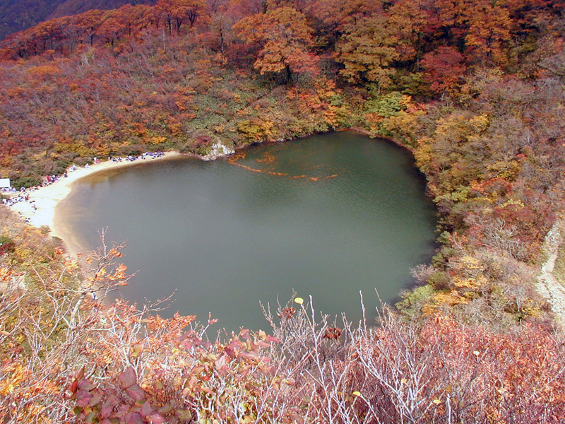 �뺵���Ӽ��դμ̿�