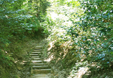 毛利秀元の陣跡1