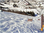 揖斐高原スキー場の写真
