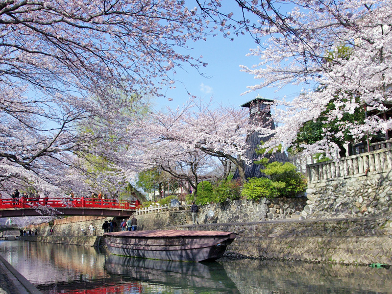 桜の時期の船町港跡