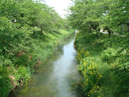 杭瀬川の写真