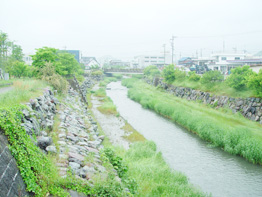 桂川の写真