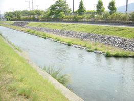 東川の写真