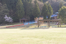朝倉運動公園の写真