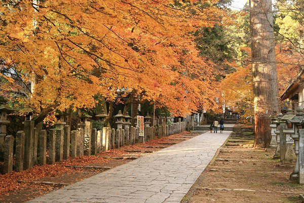 西美濃の紅葉 特集 大垣地域ポータルサイト西美濃