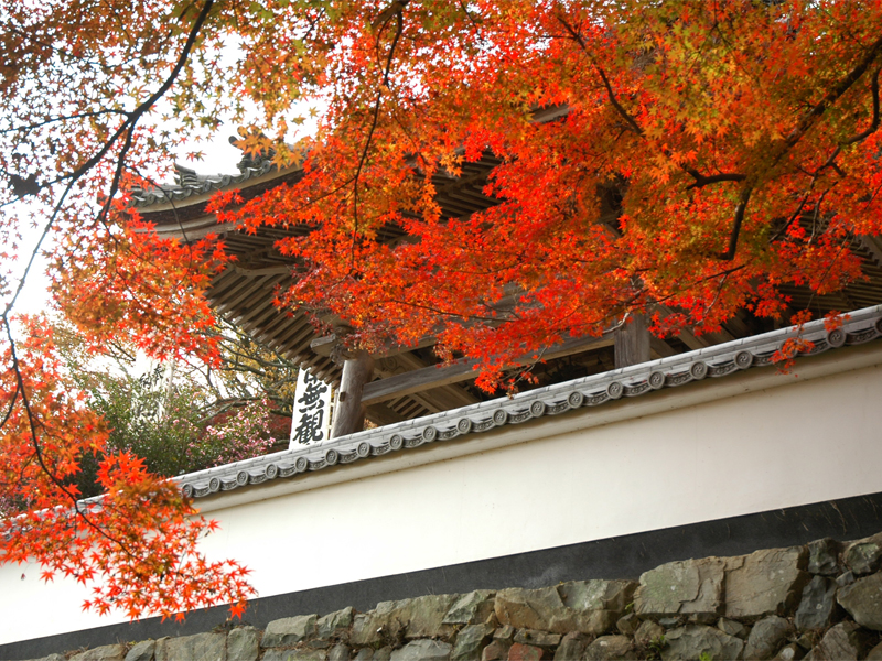円興寺の写真