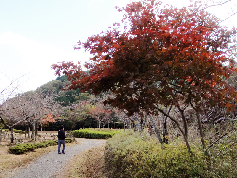 庭田山公園の写真