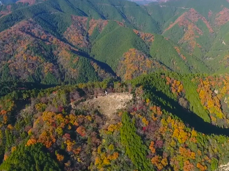 ���󻳾��� �̿�