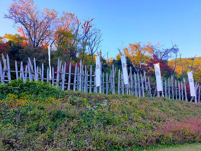 ������ �̿�