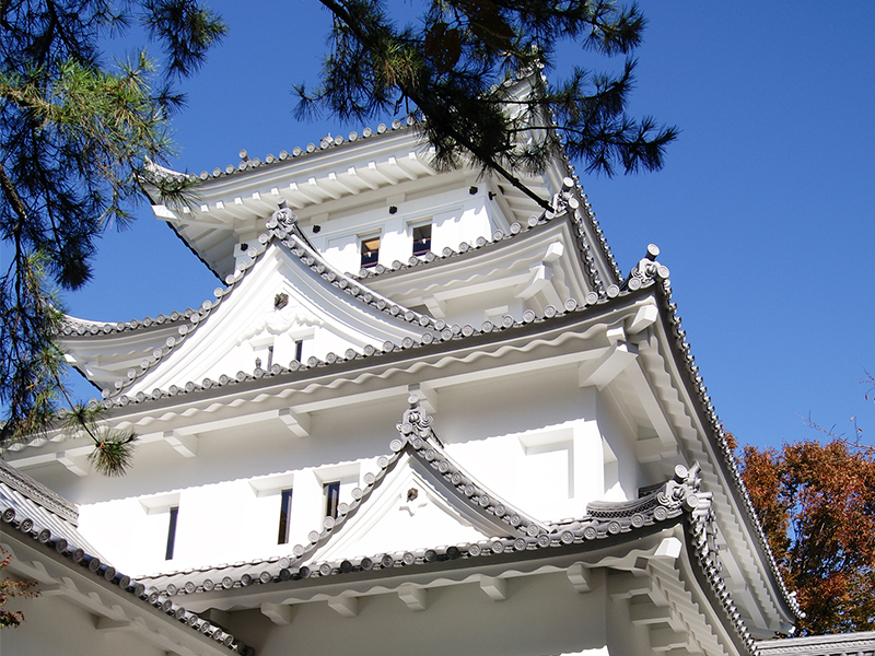 ����� �̿�